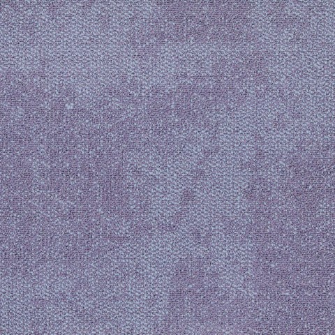 Composure 4169062 Lavender