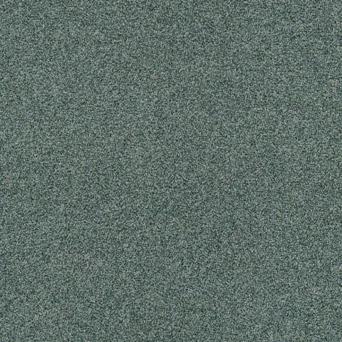 Polichrome Stipple 4265002 Dolphin