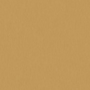 Brushed Lines A01614 Honey