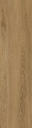 Textured Woodgrains A00419 Antique Ash Oak