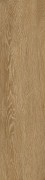 Textured Woodgrains A00419 Antique Ash Oak