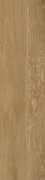 Textured Woodgrains A00419 Antique Ash Oak